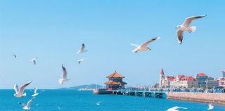 旅游||食在青岛，美味之旅