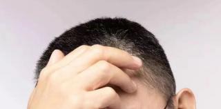 散文||田杨：且将新火试新茶，再向人间问些话