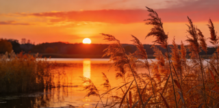 诗歌||徐志摩：难得