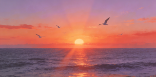 散文||巴金：海上日出