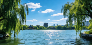 初怡||大明湖游记