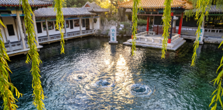 陈玉泉||趵突泉游览记