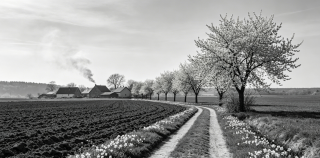 张恨水||故乡的四月