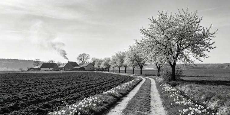 张恨水||故乡的四月
