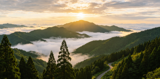 古语||云栖阿里山，赴一场山林岁月的温柔邀约